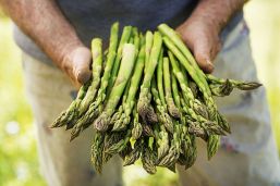 asperges